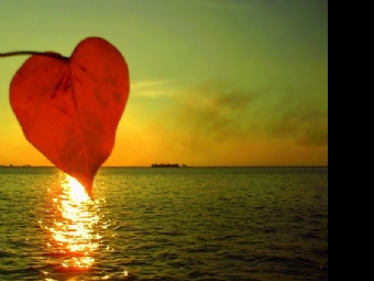 Cada pessoa tem um tempo na nossa vida