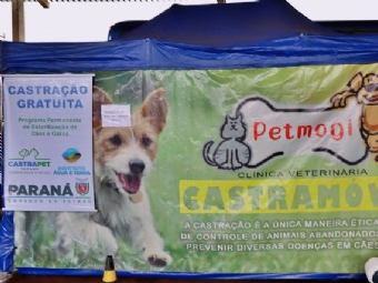 CastraPET Paraná garante mais de 100 castrações gratuitas em nova etapa