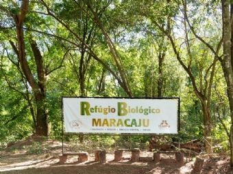 Itaipu celebra 42 anos de áreas protegidas e reforça seu compromisso com a biodiversidade