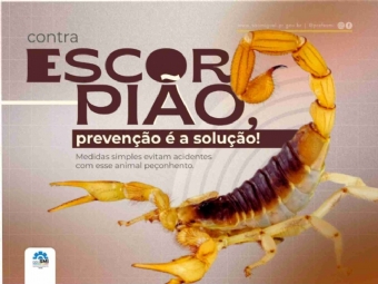 São Miguel do Iguaçu registrou 73 acidentes com animais peçonhentos em 2025