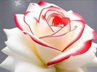 Educação, a palavra Chave: 