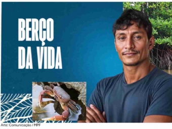 Guardião do Futuro: MPF lança vídeo em alusão ao Dia Internacional para a Conservação dos Manguezais
