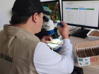 Monitoramento aponta queda de 65% nos ovos do Aedes aegypti em uma semana