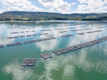 Itaipu e governos do Brasil e do Paraguai promovem visita técnica a produtores de tilápia
