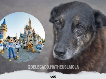 O caso do cão comunitário Orelha ganhou mais um capítulo grave e revoltante.