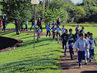 Secretaria de Meio Ambiente promove plantio de mudas árvores em comemoração ao Dia Mundial do Meio Ambiente