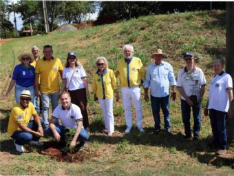 Bosque das Lembranças recebe novo plantio de árvores em homenagem às vítimas da Covid-19