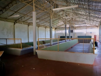 Administração Municipal inicia reforma da cancha de bocha na antiga sede do Provopar