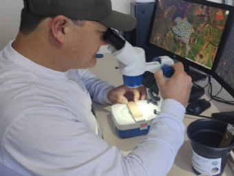 Monitoramento aponta redução de focos do Aedes aegypti em Itaipulândia